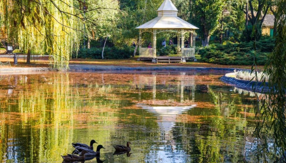 Wetland - Dunavski park