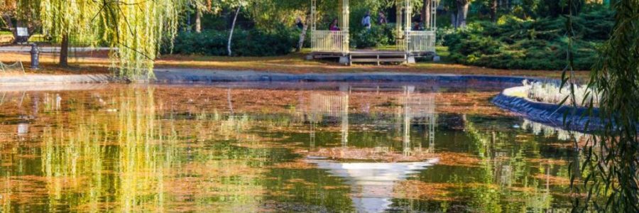 Novi Sad kao grad vlažnih područja