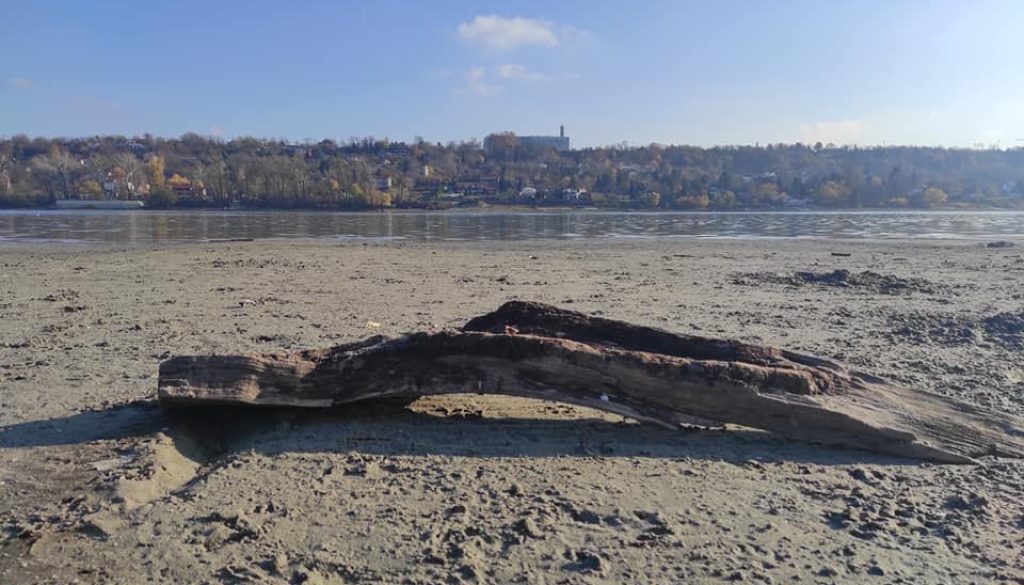 vlazna stanista novi sad