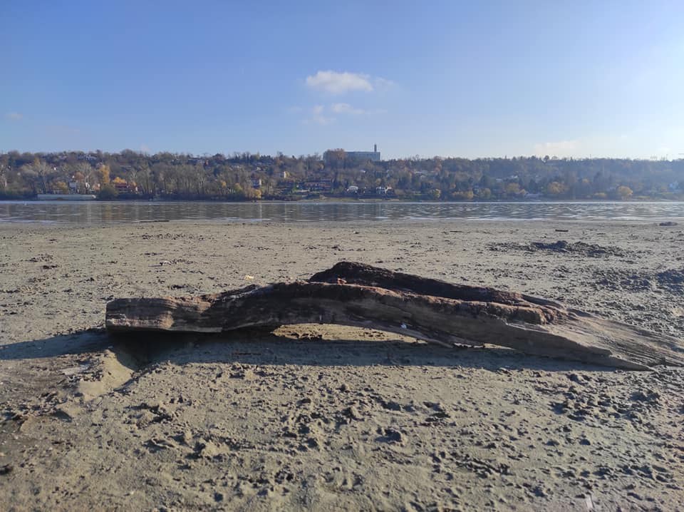 vlazna stanista novi sad