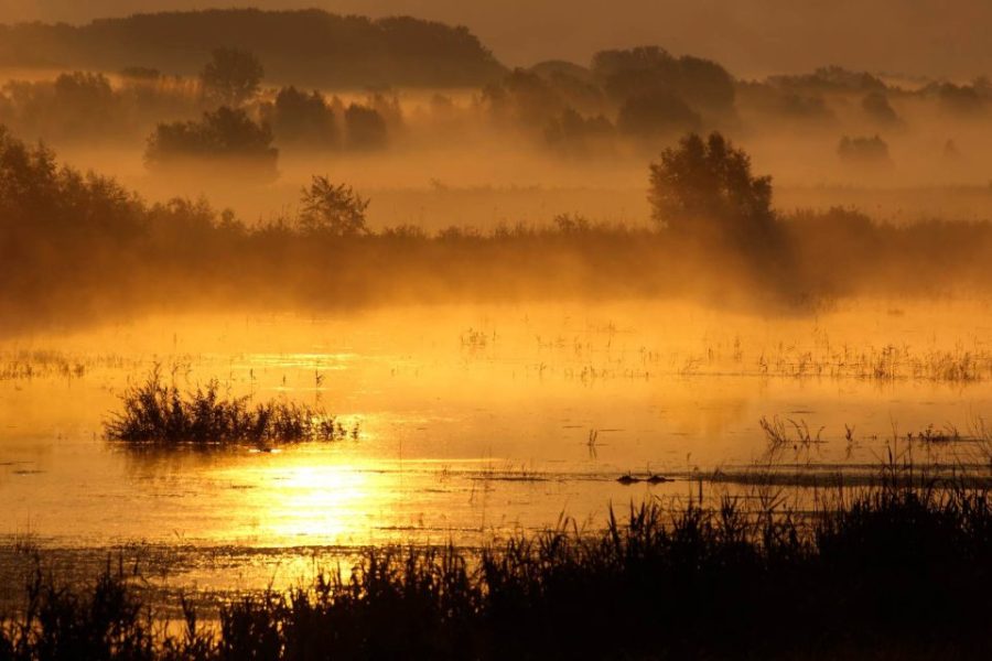 Svetski dan vlažnih područja, 2. februar 2025. godine